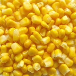 Sweet Corn